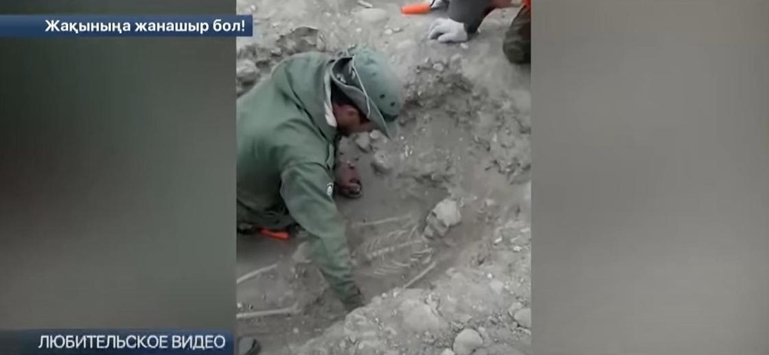 Сенсационное открытие сделали при раскопках курганов в Алматинской области (видео)