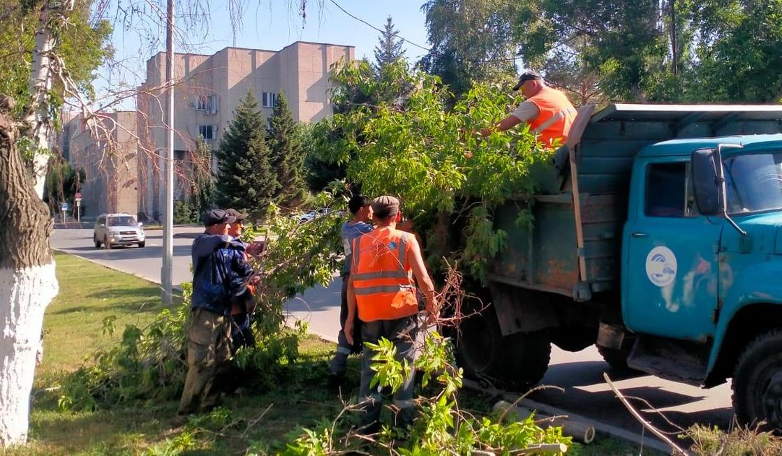 Последствия урагана Последствия урагана