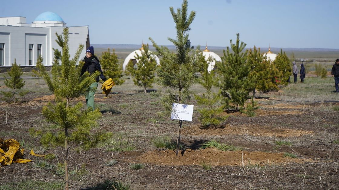 Ұлытау облысында экологиялық іс-шара ұйымдастырылды
