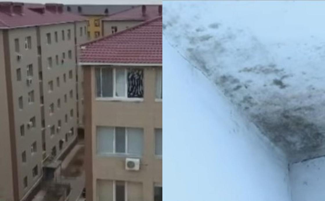 В Актау жители новостроек бьют тревогу: "Стены в новых квартирах покрылись плесенью, влажность воздуха составляет 80%"