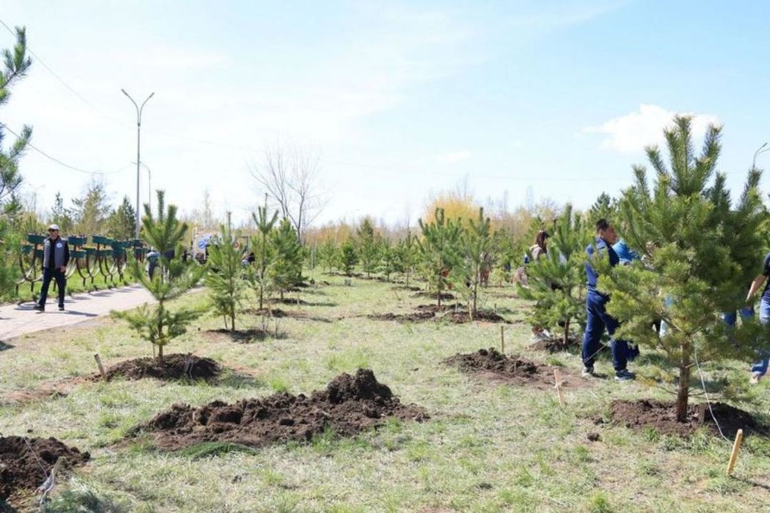 Акция "Таза Қазақстан" в Караганде