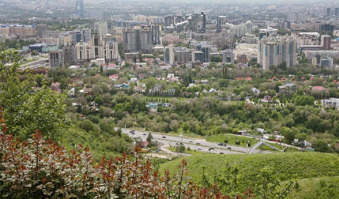 Крупные вузы предложили перенести за город в Алматы