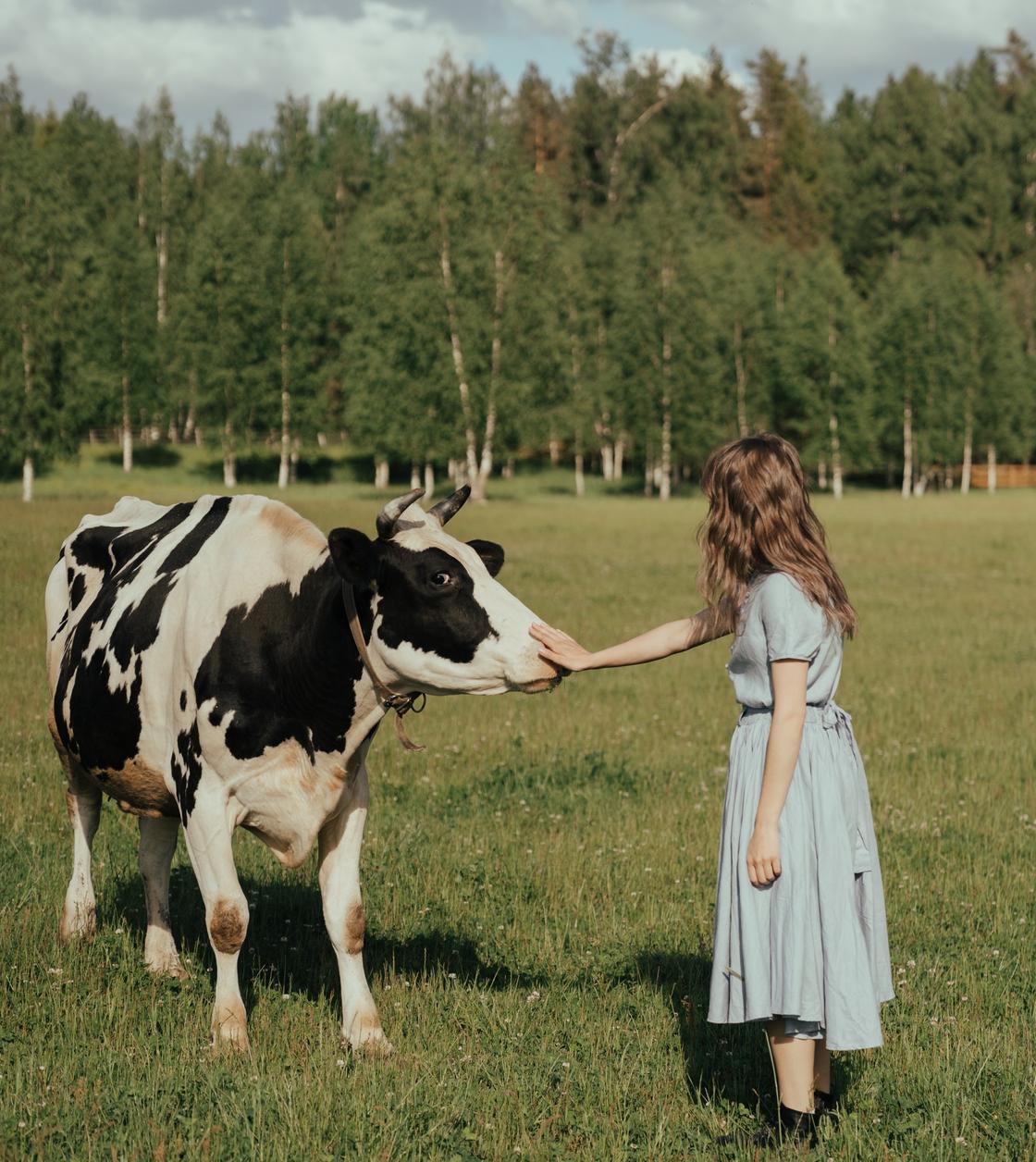 Девушка гладит корову