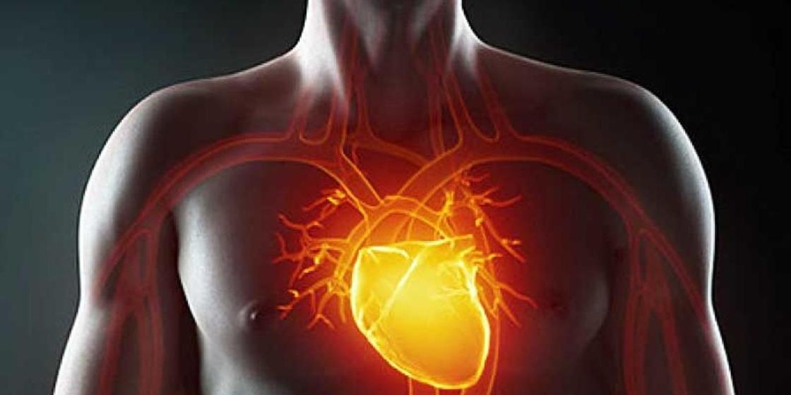 Қытай ғалымдары жүректі жамайтын желім ойлап тапты Қытай ғалымдары жүректі жамайтын желім ойлап тапты