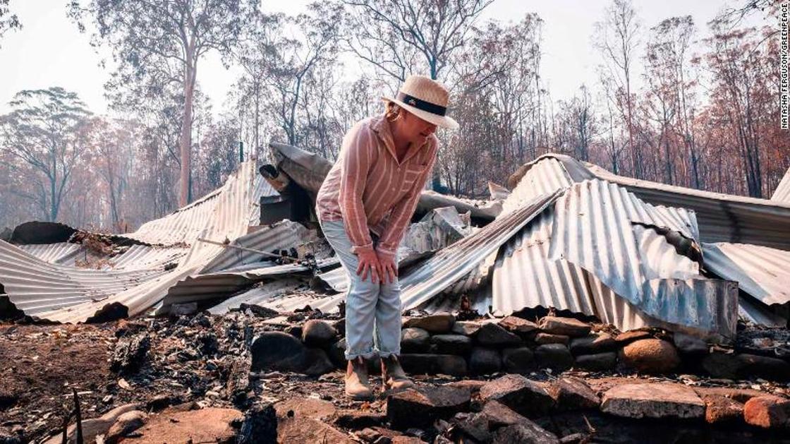 Около 500 млн животных погибло в лесных пожарах Австралии