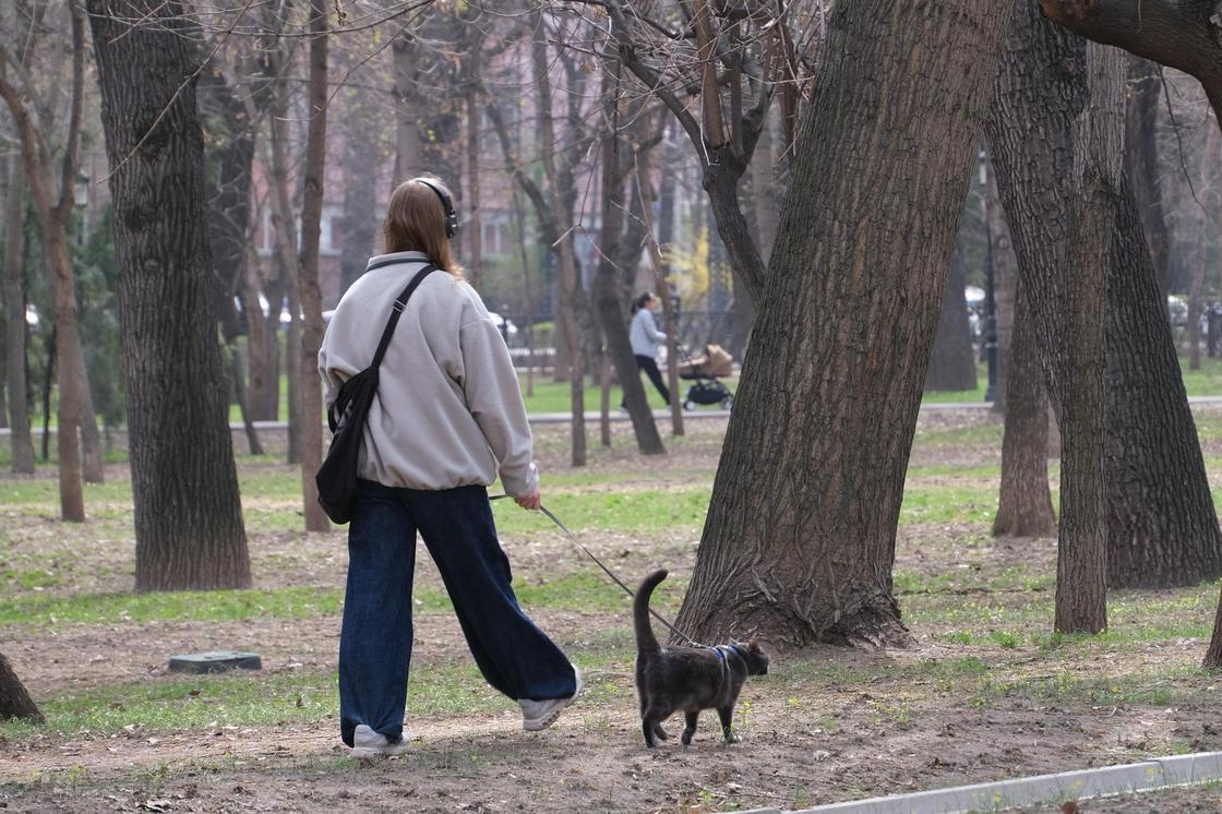 Выгул кошки Выгул кошки
