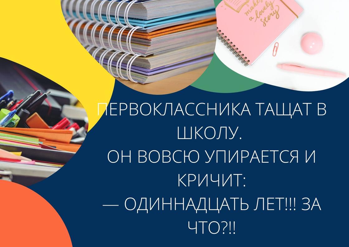 Анекдоты для детей: 50+ самых смешных анекдотов в 2020 году