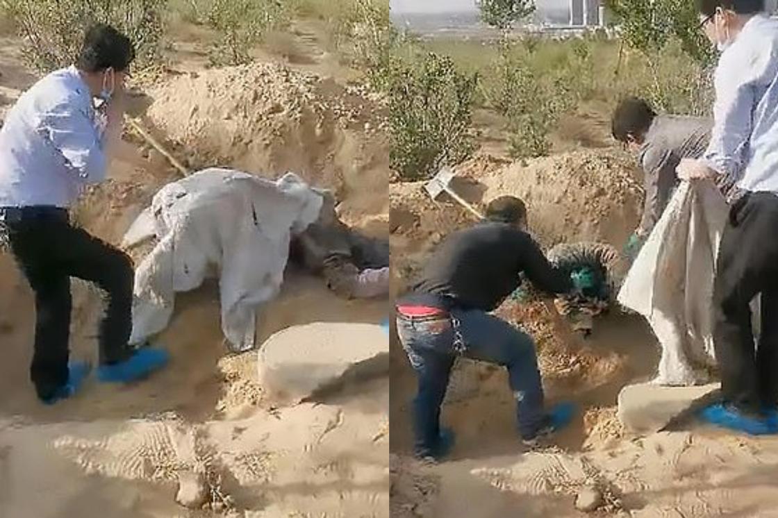 Погребенную заживо женщину спасли из могилы после трех дней без еды и воды