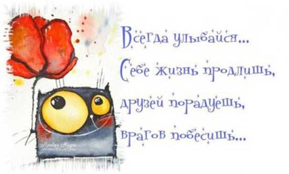 Афоризмы о жизни с юмором Афоризмы о жизни с юмором