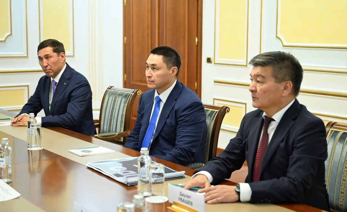 Встреча Мурата Нуртлеу с Алмазом Альсеновым