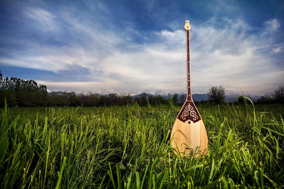 Домбра - национальный казахский музыкальный инструмент