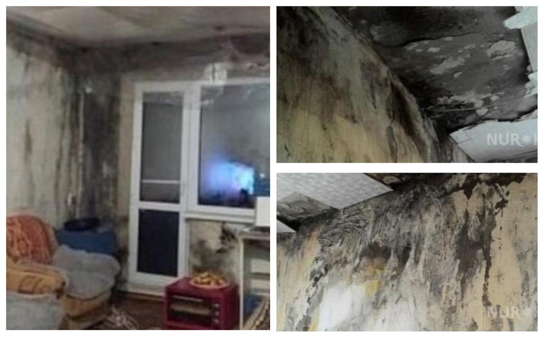 Матери с четырьмя детьми помогут отремонтировать квартиру в Карагандинской области