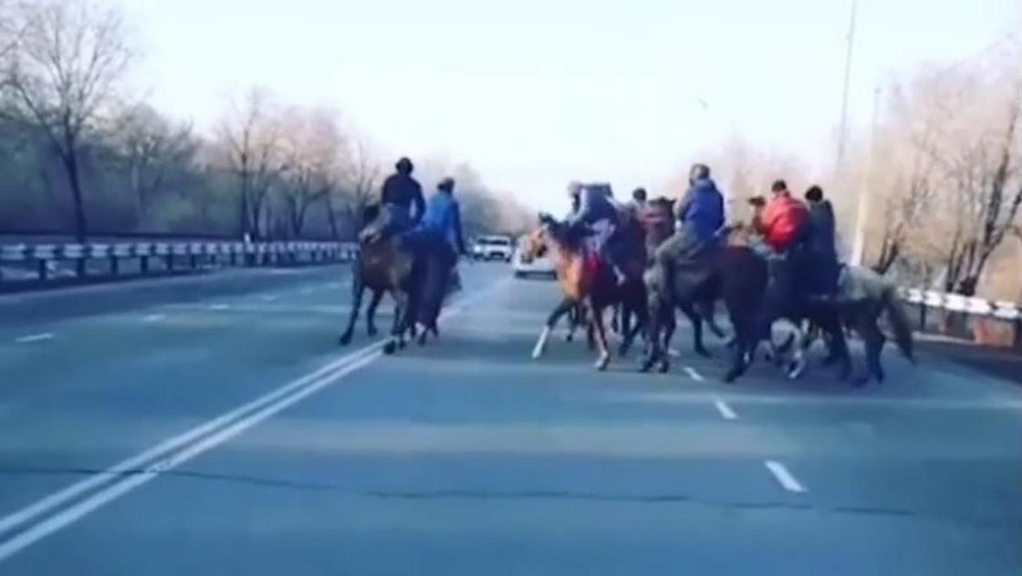 Видеодан кадр: Instagram/ Алматы облысының полициясы