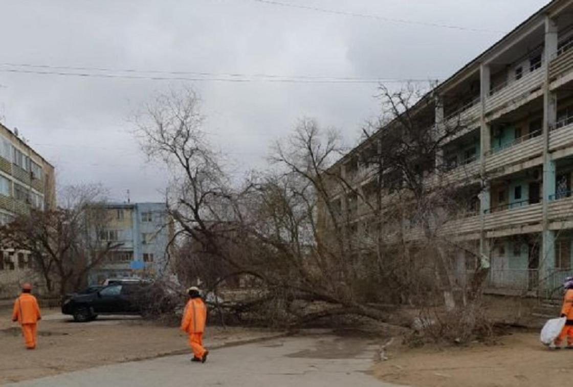 Сорванные крыши и упавшие деревья: последствия плохой погоды в Мангистау (фото, видео)
