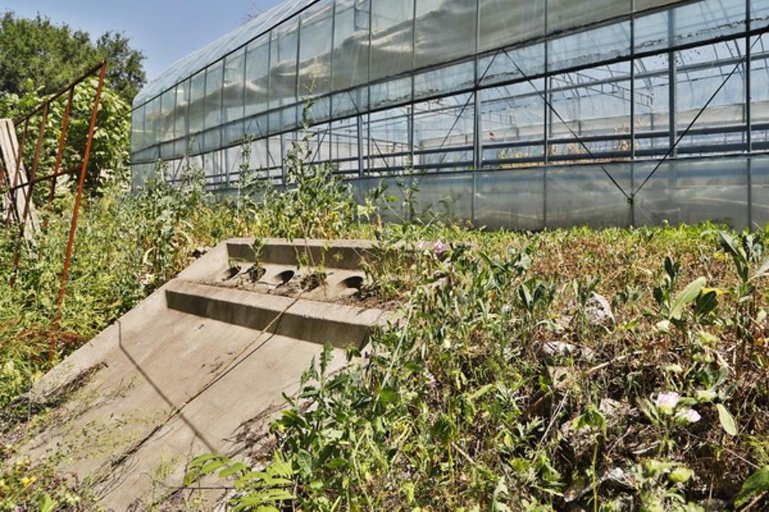 Новые дорожки, пруды и деревья: как идет реконструкция Ботанического сада в Алматы (фото)