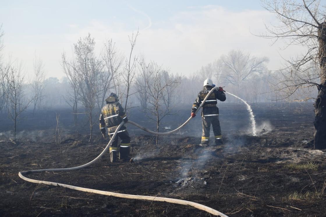 10 гектаров степи и леса сгорели из-за костра отдыхающих в ЗКО (фото, видео)