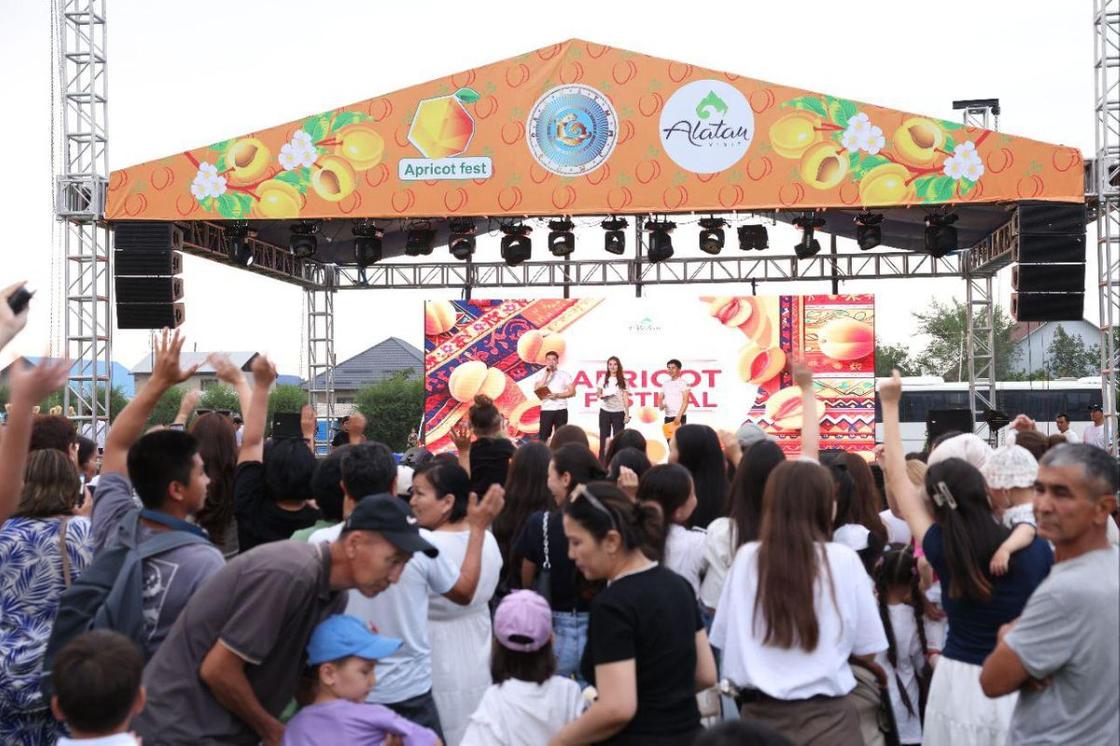 Apricot Fest Apricot Fest