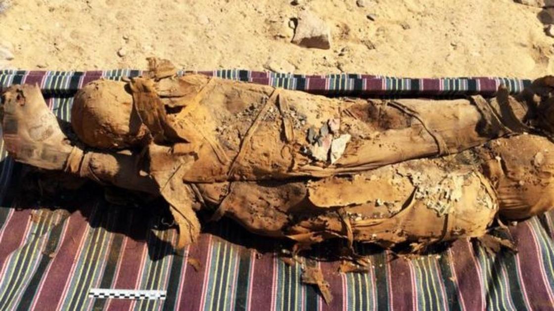 В Египте найдена нетронутая древняя гробница, в ней почти 30 мумий