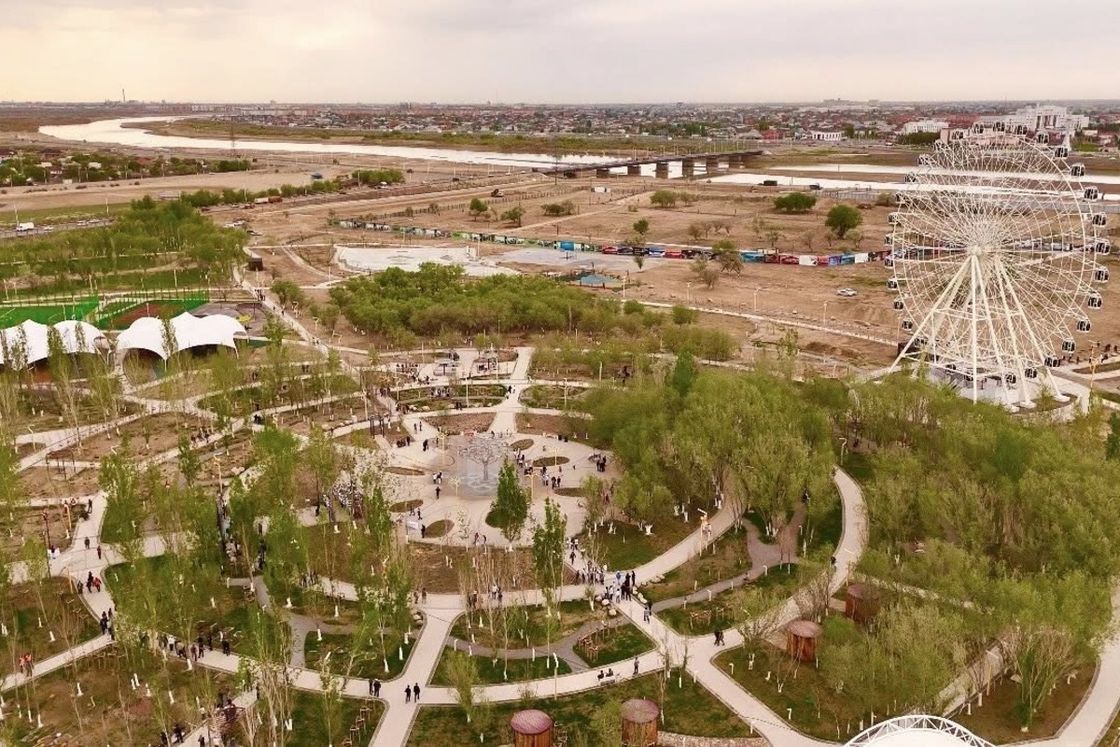 Қызылорда облысында 12000 тал егілді