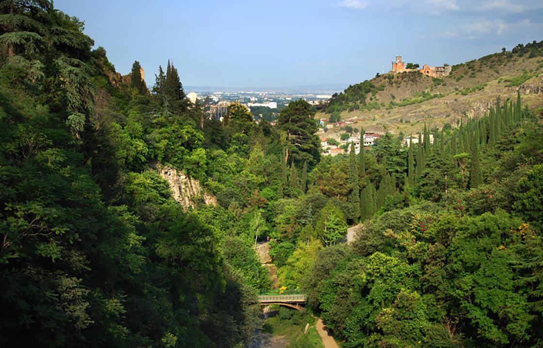 Ущелье в ботаническом саду Тбилиси