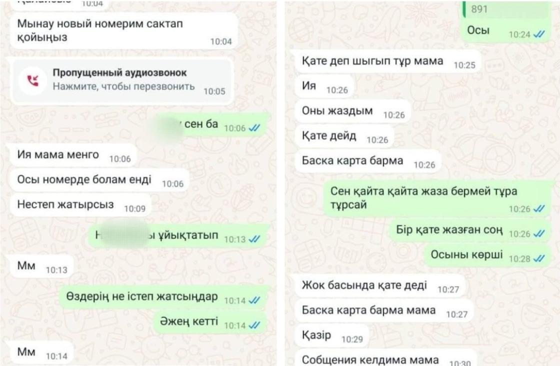 Переписка в WhatsApp подозреваемых