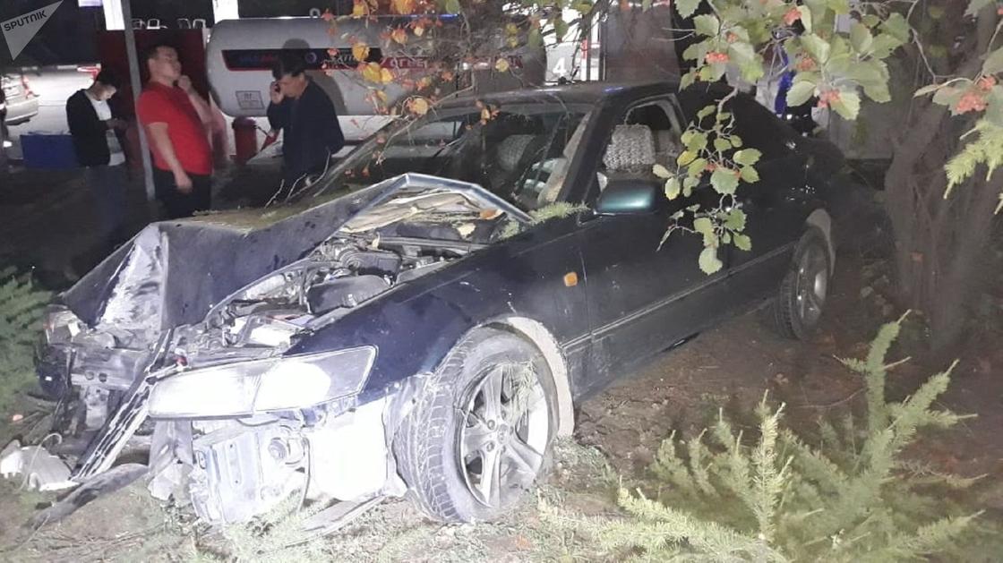 Снес дерево: автомобиль едва не врезался в газовый резервуар в Алматы (фото)