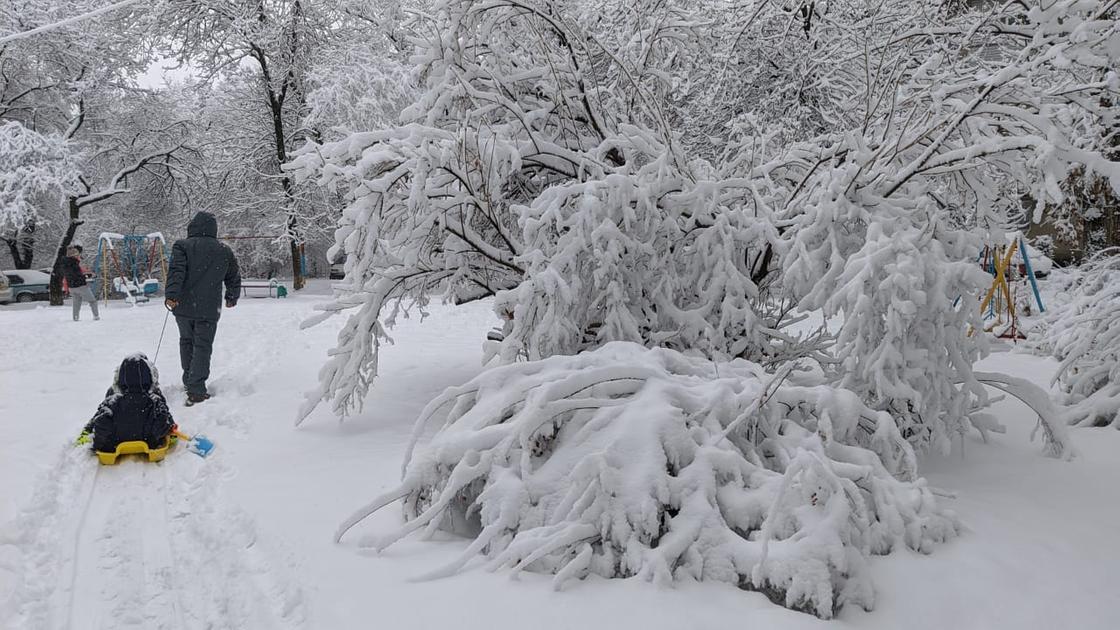 Алматы засыпает снегом: как справляются коммунальщики (фото)