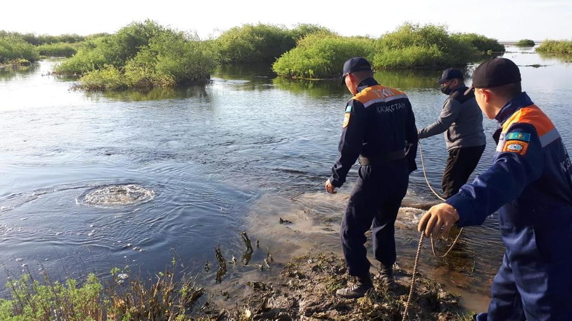 Тело женщины в ванне с водой нашли в Акмолинской области
