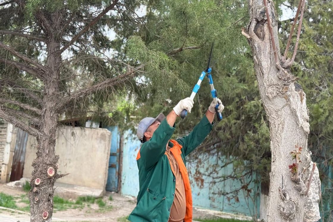 Участники экомероприятия