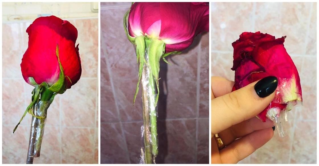 «Муж сэкономил себе на пиво»: астанчанке подарили склеенные скотчем розы (фото)