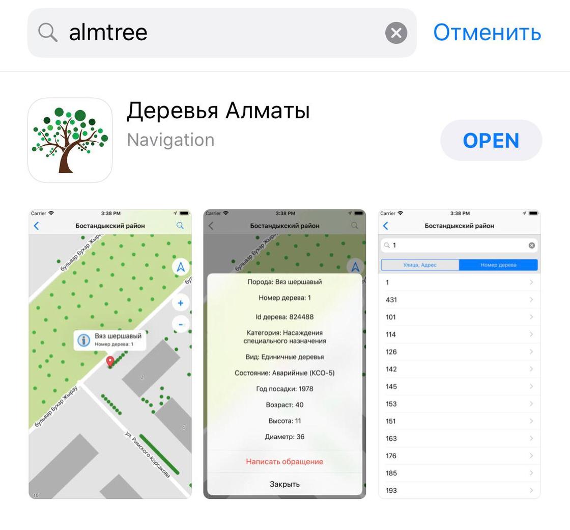 Все деревья и кусты Алматы внесли в мобильное приложение (фото)