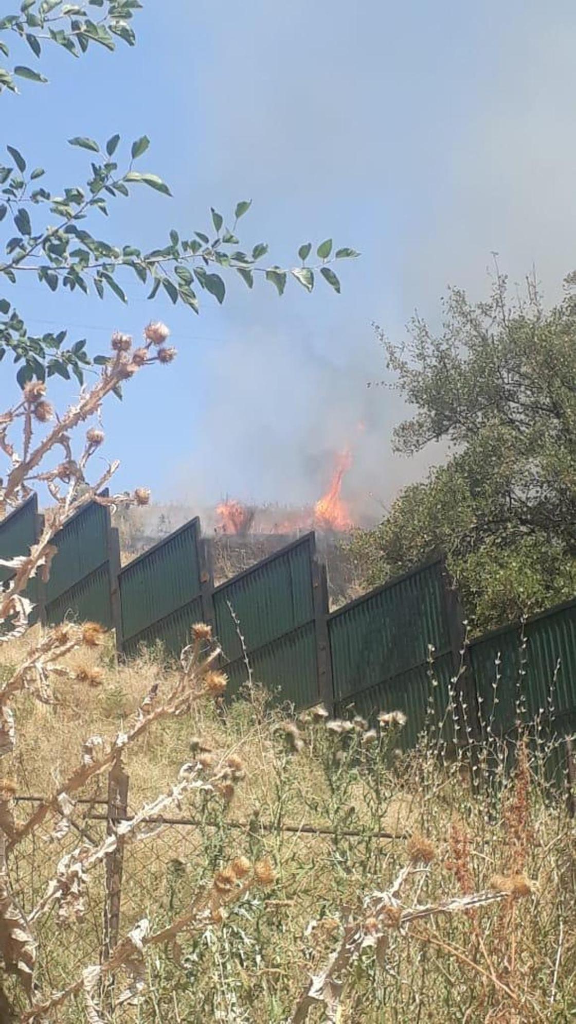 Пожар произошел на склоне горы в Алматы (фото)