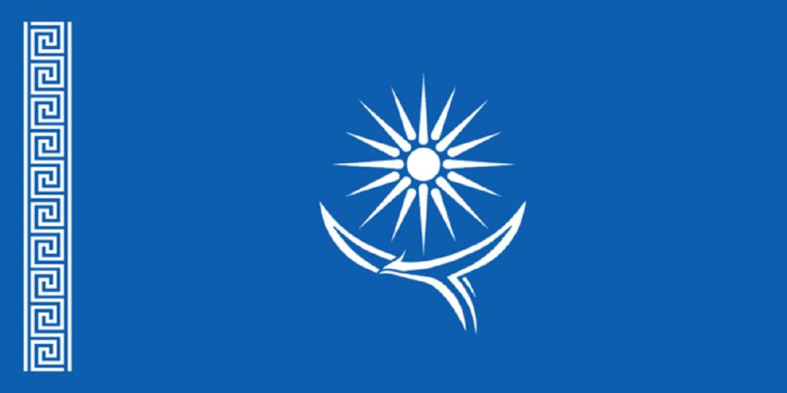 Разные флаги в стиле казахстанского появились в Сети