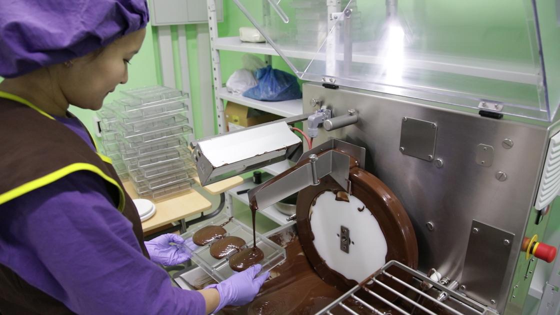 Шоколад для профилактики заболеваний на основе кобыльего молока появится в Казахстане