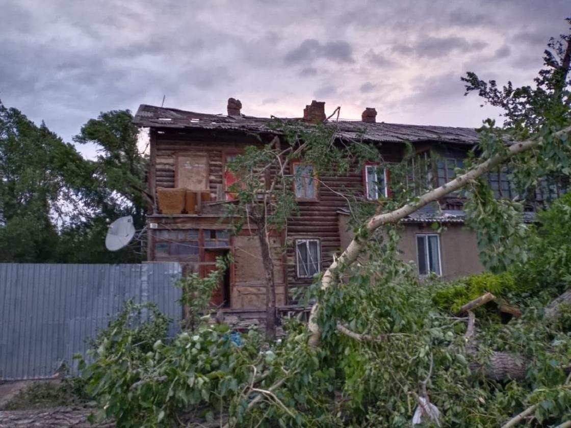 Пострадали люди, разрушены дома: страшный ураган обрушился на Аягоз (видео)
