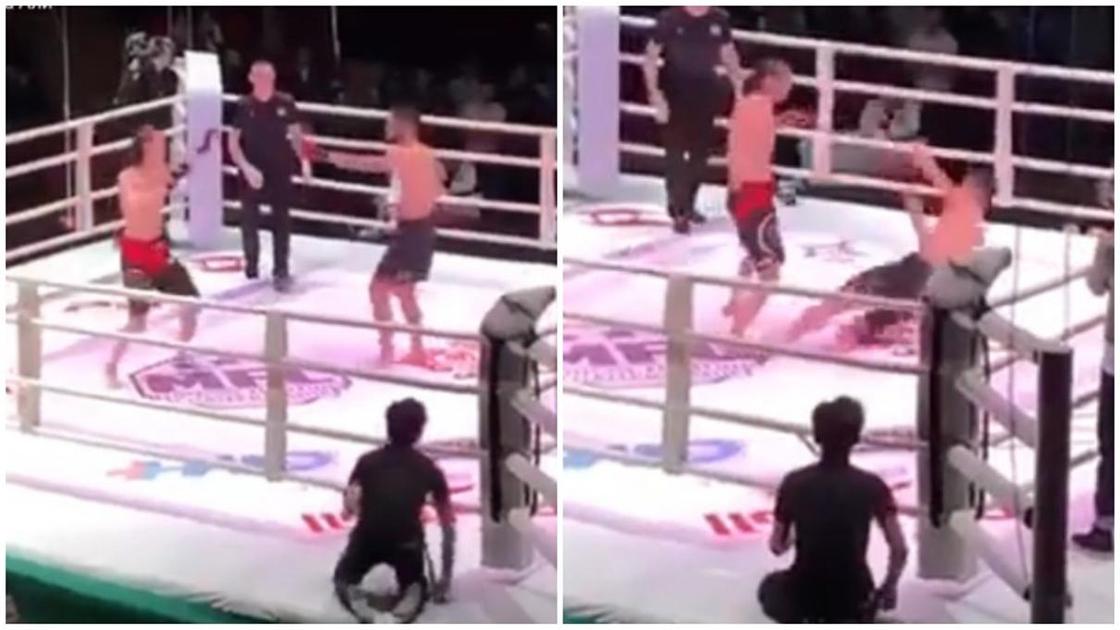 Казахстанский боец наказал монгола за неуважение на ринге (видео)