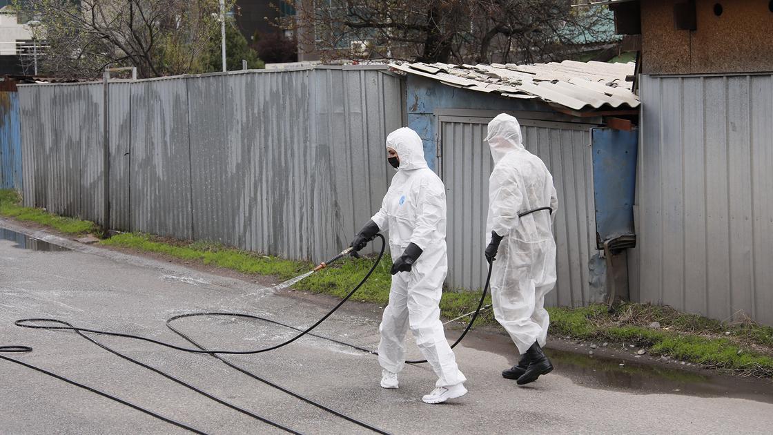39 новых случаев коронавируса зарегистрировано в Казахстане 39 новых случаев коронавируса зарегистрировано в Казахстане