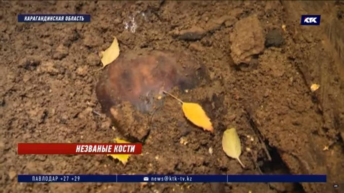 Сельчанин выкопал в своем дворе три гроба с останками в пятницу, 13 сентября, в Карагандинской области