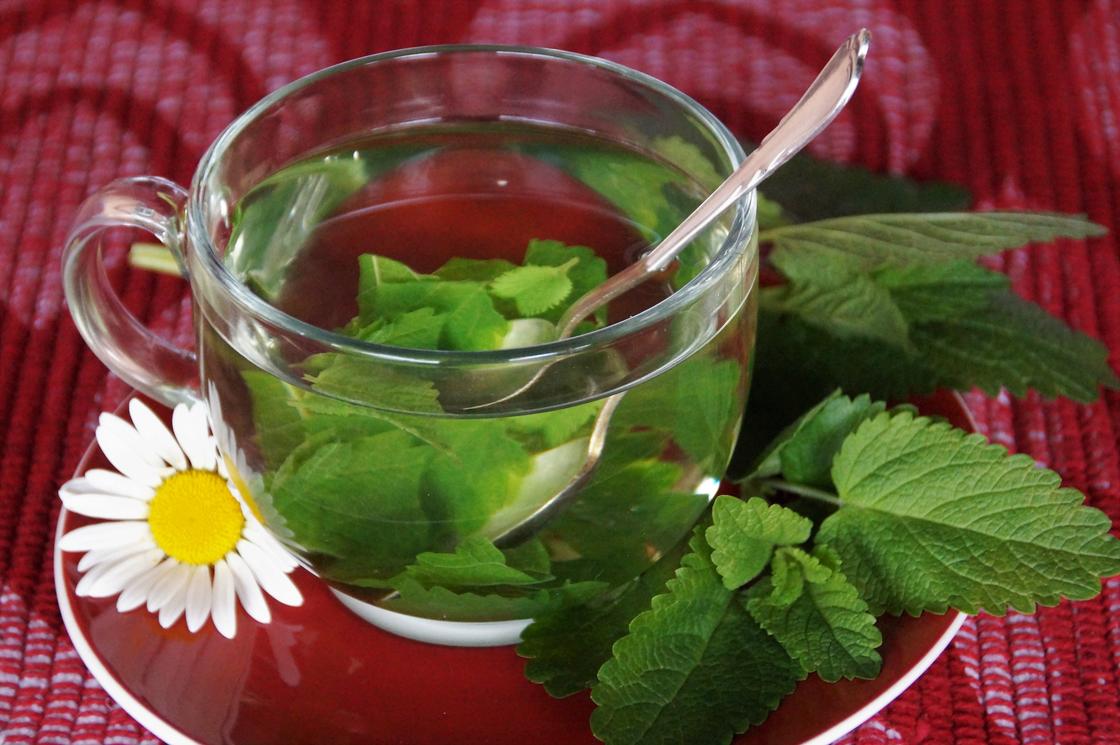 Чай с мятой и ромашкой Чай с мятой и ромашкой