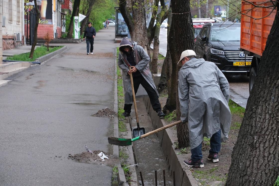 "Алматы Жазы" акциясы