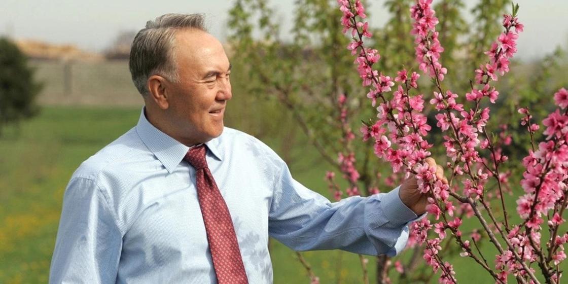 "Мой родной город": Назарбаев рассказал, почему ездит в Алматы каждую весну