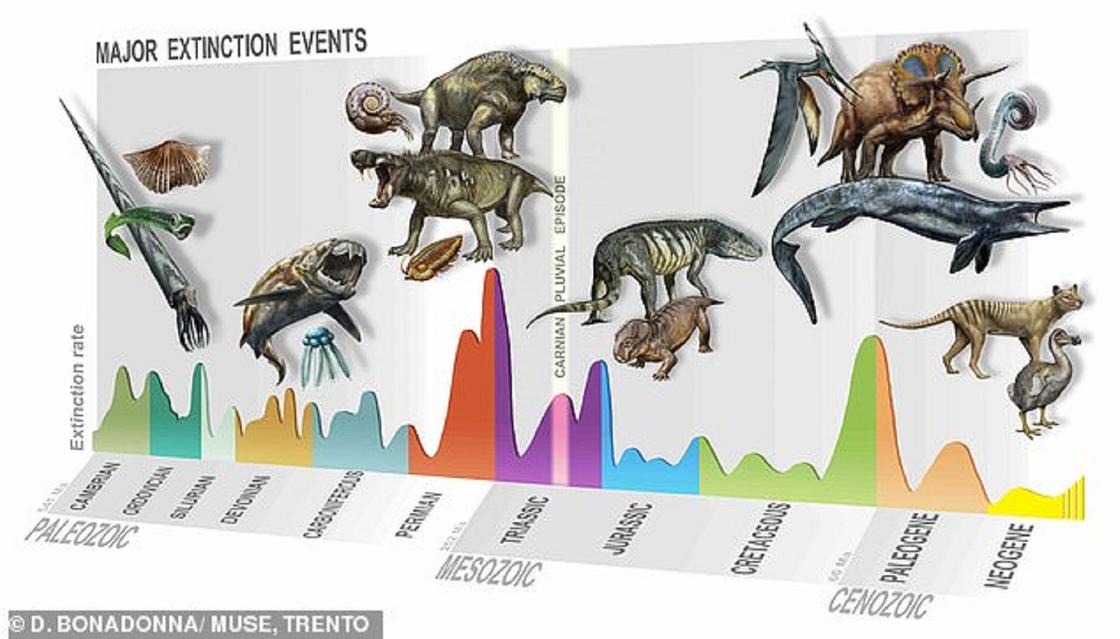 Крупные массовые вымирания в истории Земли