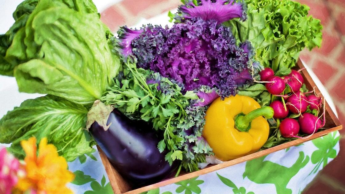V košíku je naskládána zelenina: salát, lilek, paprika, petržel, ředkvička