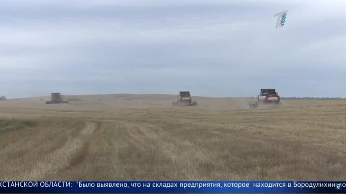 Навоз и сено вместо государственного зерна обнаружили на складе в ВКО Навоз и сено вместо государственного зерна обнаружили на складе в ВКО