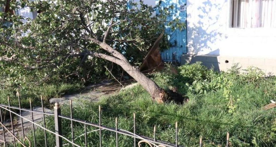 Ураган на Иссык-Куле: один человек в реанимации