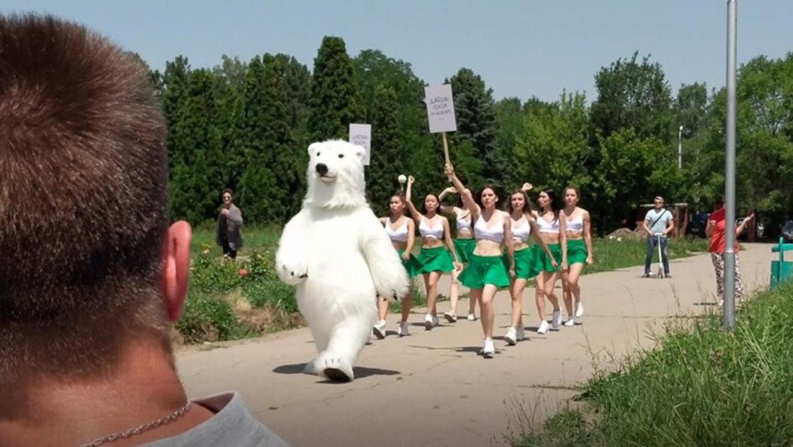 Очевидцы засняли белого медведя на «демонстрации» с алматинками