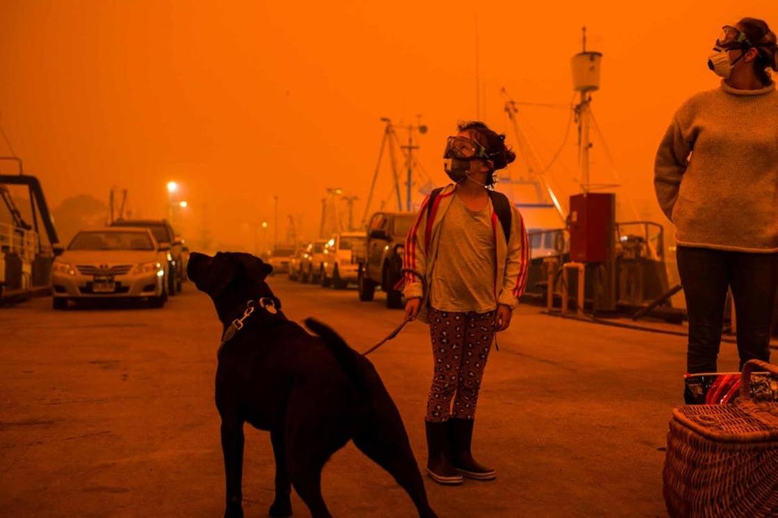 Что происходит в Австралии и кто прямо сейчас спасает от огня людей и животных