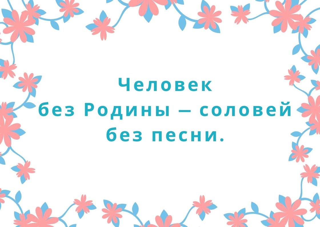 В казахских пословицах – мудрость народа