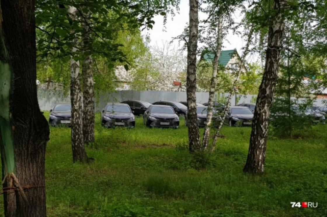 Припаркованные в лесу машины. Фото: 74.ru