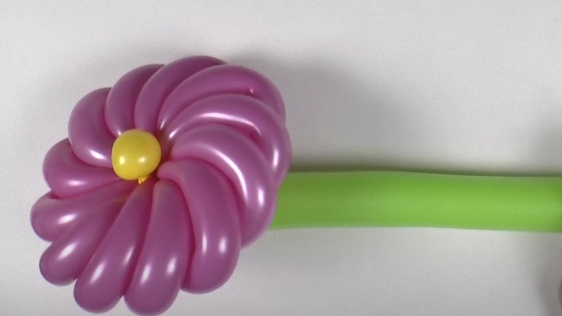 Как сделать цветок из шарика?